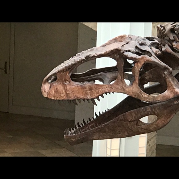 Meet your Posher, Allen - Picture 1 of 1